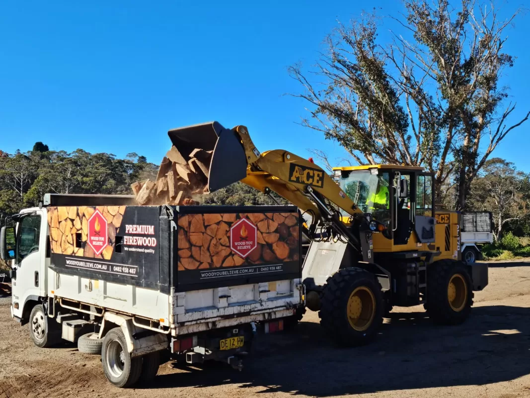 Photo of loader dumping firewood into tipper truck.